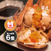 北海道石狩川大閘蟹(小乸) *[2.5-3.5両]* -(1隻)-10月28或之前 送貨/自取