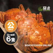 北海道石狩川大閘蟹(小公) *[3.0-4.0両]* -(1隻)-10月28或之前 送貨/自取