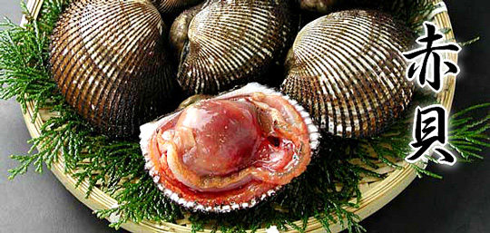2-00411-zoom.jpg