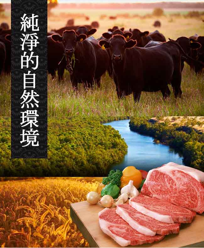 a5-cow-4-.jpg