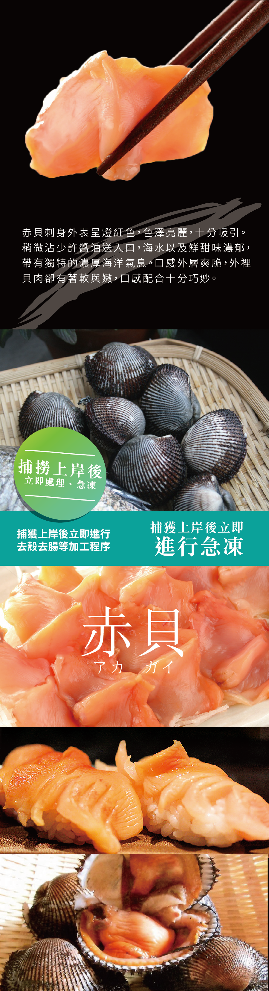 new-akagai-inner.png