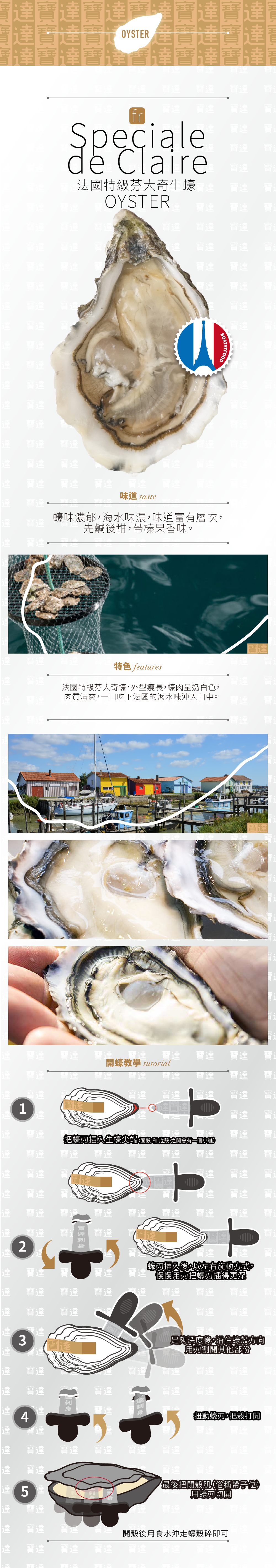spdc-oy-inner.png