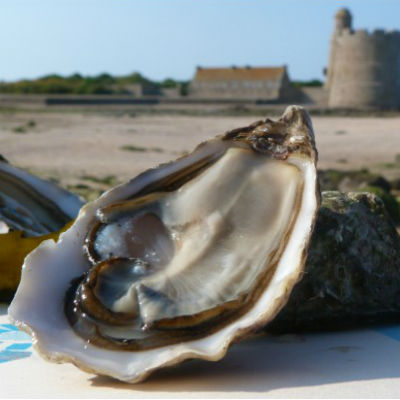 st-vaast1393471797.jpg
